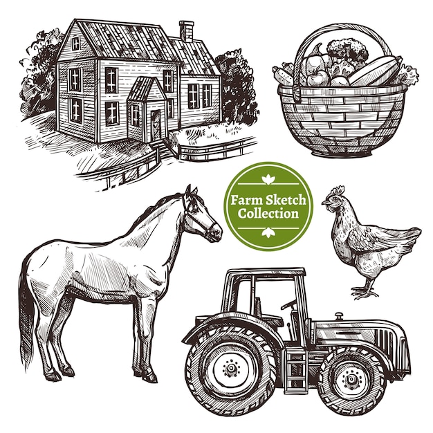 Farm hand drawn sketch set