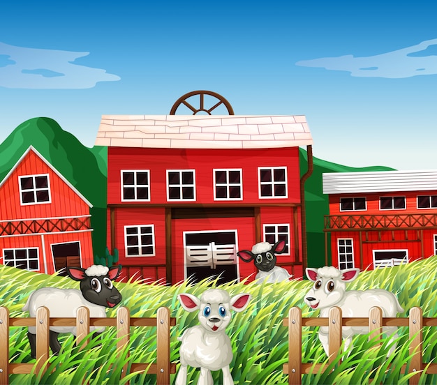 Бесплатное векторное изображение Сцена фермы на природе с сараями и овцами