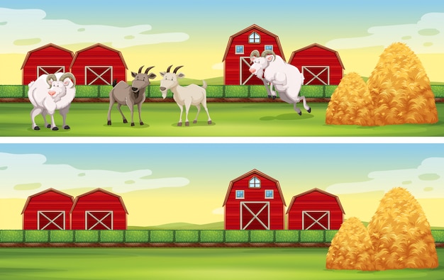 Free vector farm scene with goats and barns