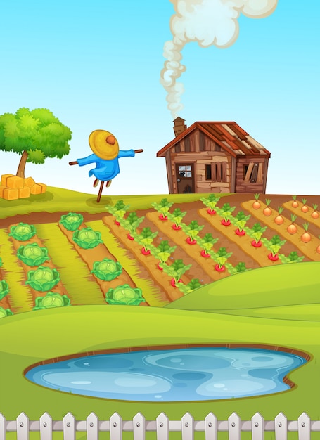 Farm scene with pond in foreground and crops illustration