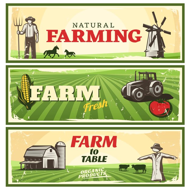 farm to table concept banners set