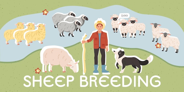 Free vector farmer standing on lawn with various sheep breeds flat collage vector illustration