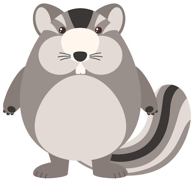 Free vector fat chipmunk on white background