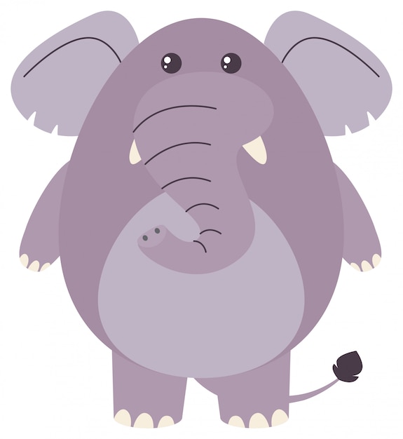 Free vector fat elephant on white background