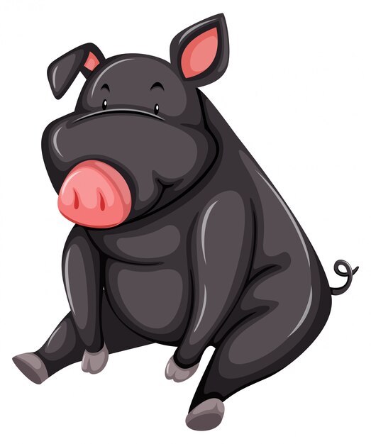 Толстая серая свинья