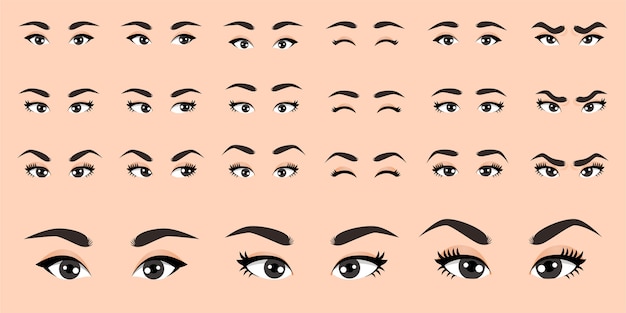 Female eyes collection  illustration