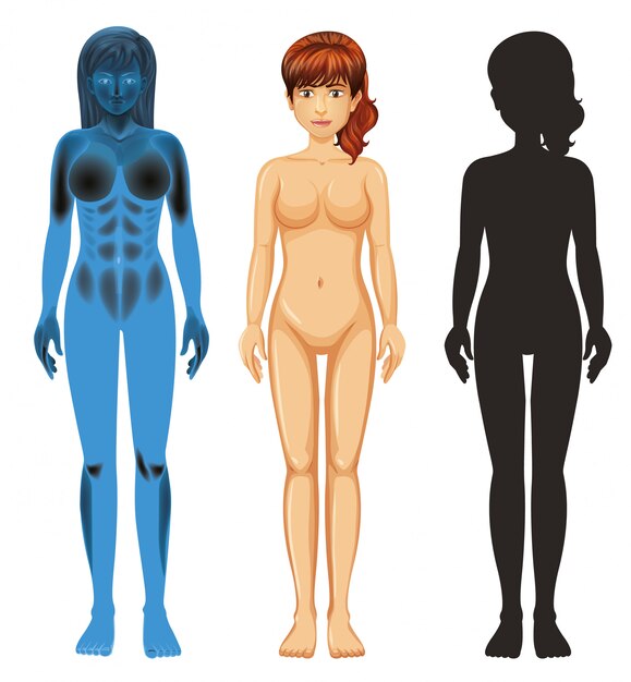 Women Body Type Images - Free Download on Freepik