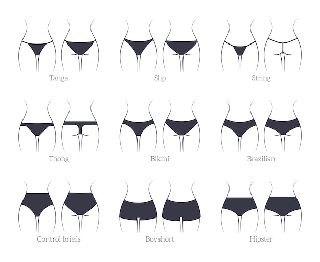 Types Women's Panties Bras Set Underwear Vector Illustration Stock Vector  by ©exit.near.gmail.com 310805182