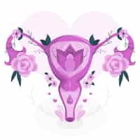 Free vector female reproductive system concept illustration