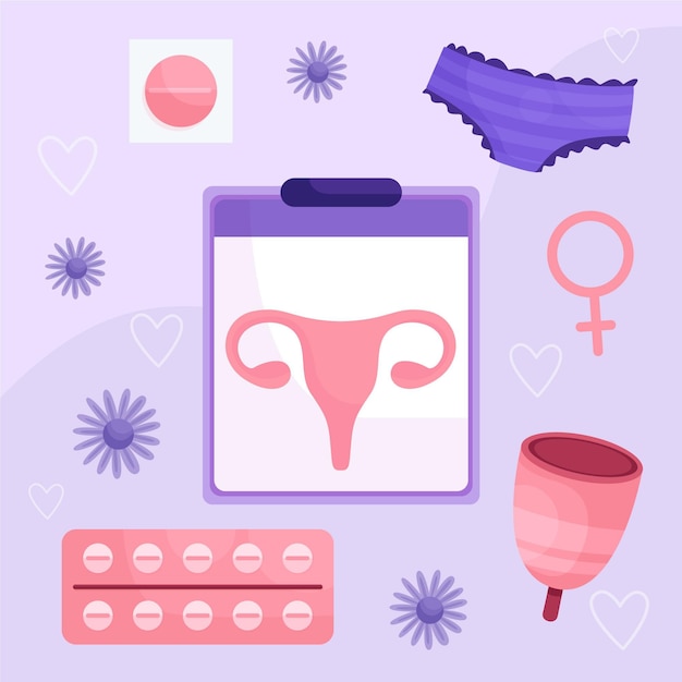 Free vector female reproductive system concept