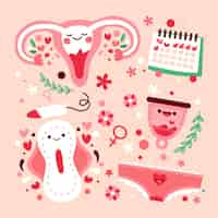 Free vector female reproductive system concept