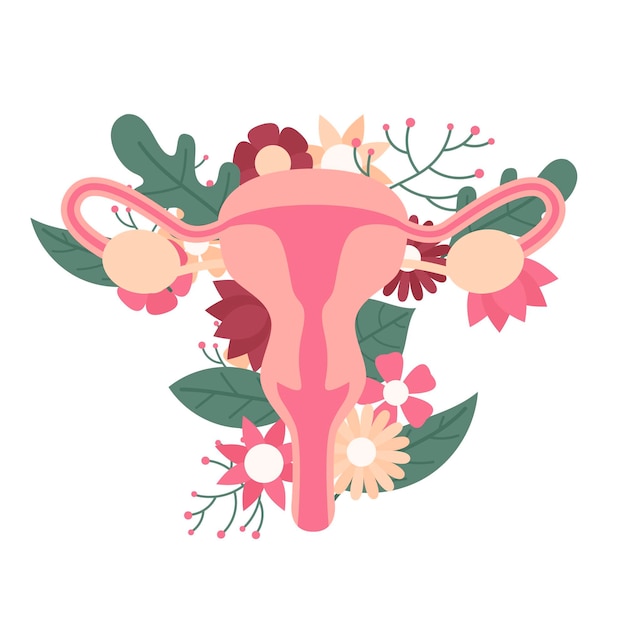 꽃을 가진 여성의 생식 기관