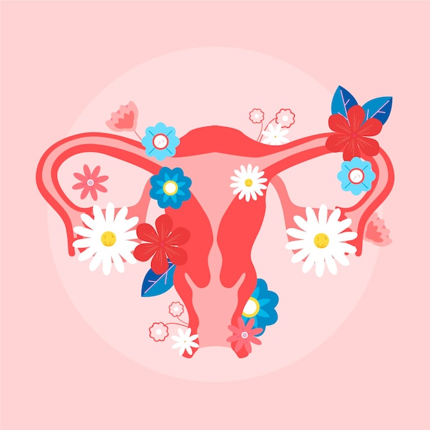 Бесплатное векторное изображение Женская репродуктивная система с цветами