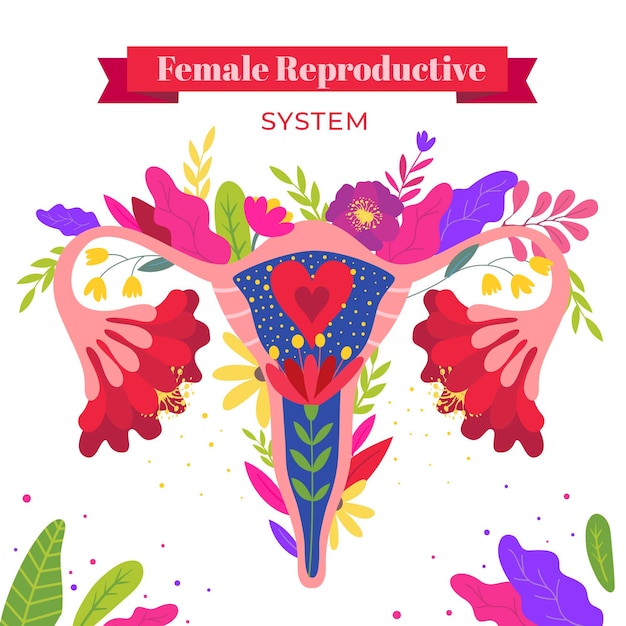 Free vector female reproductive system with flowers