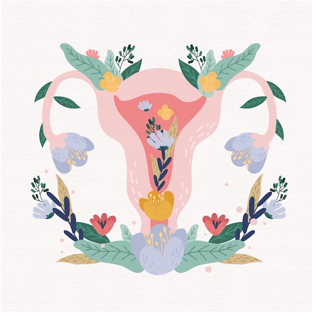 Free vector female reproductive system with flowers