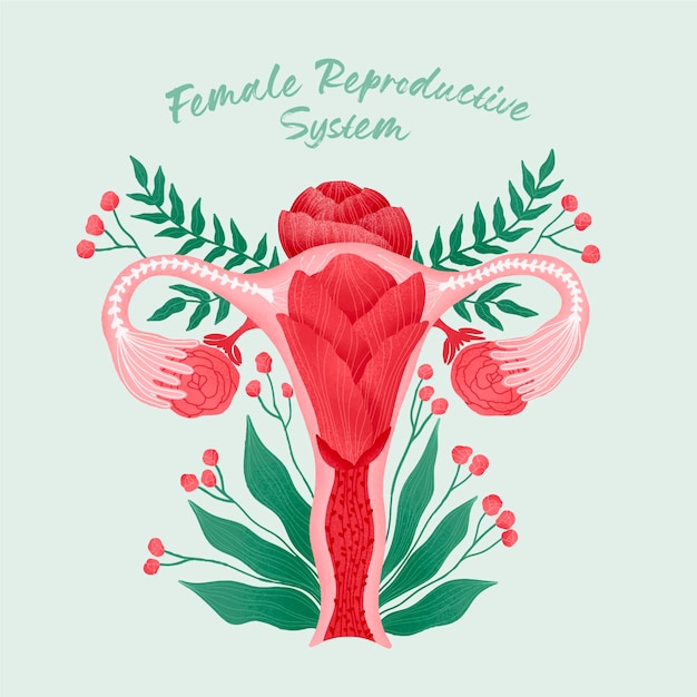 Free vector female reproductive system with flowers