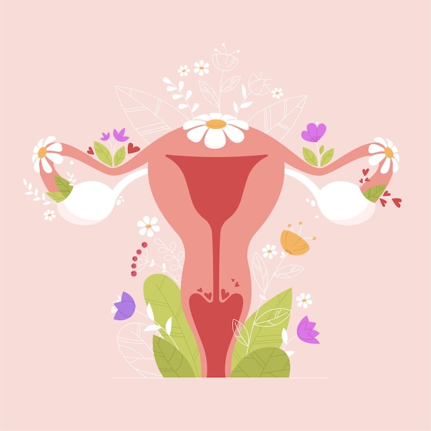 Free vector female reproductive system with flowers