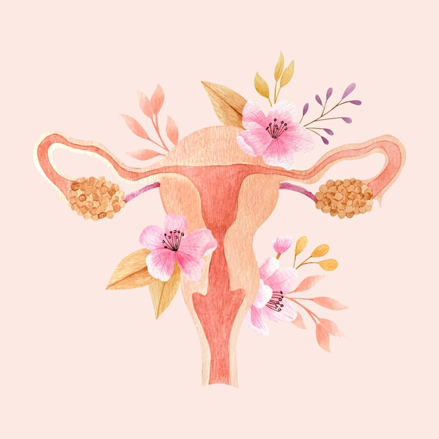 Female reproductive system with flowers