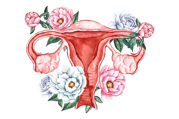 Female reproductive system with flowers