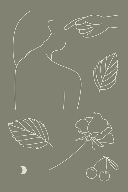 Feminine line art collection vector