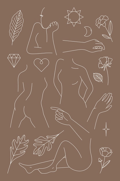 Free vector feminine line art collection