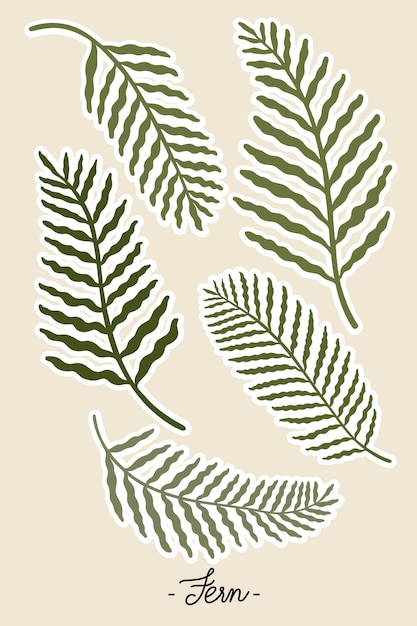 Free vector fern branches set on beige background vector