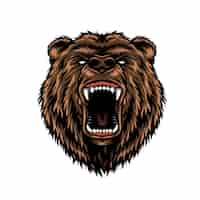 Бесплатное векторное изображение Свирепый агрессивный медведь голова красочная концепция