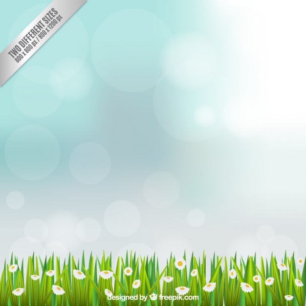 Бесплатное векторное изображение Поле фон с цветков ромашки