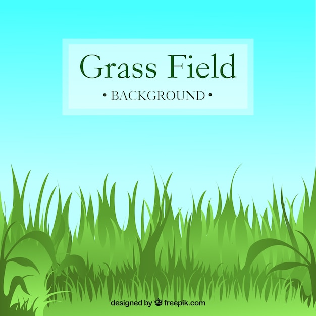 Free vector field background with green grass