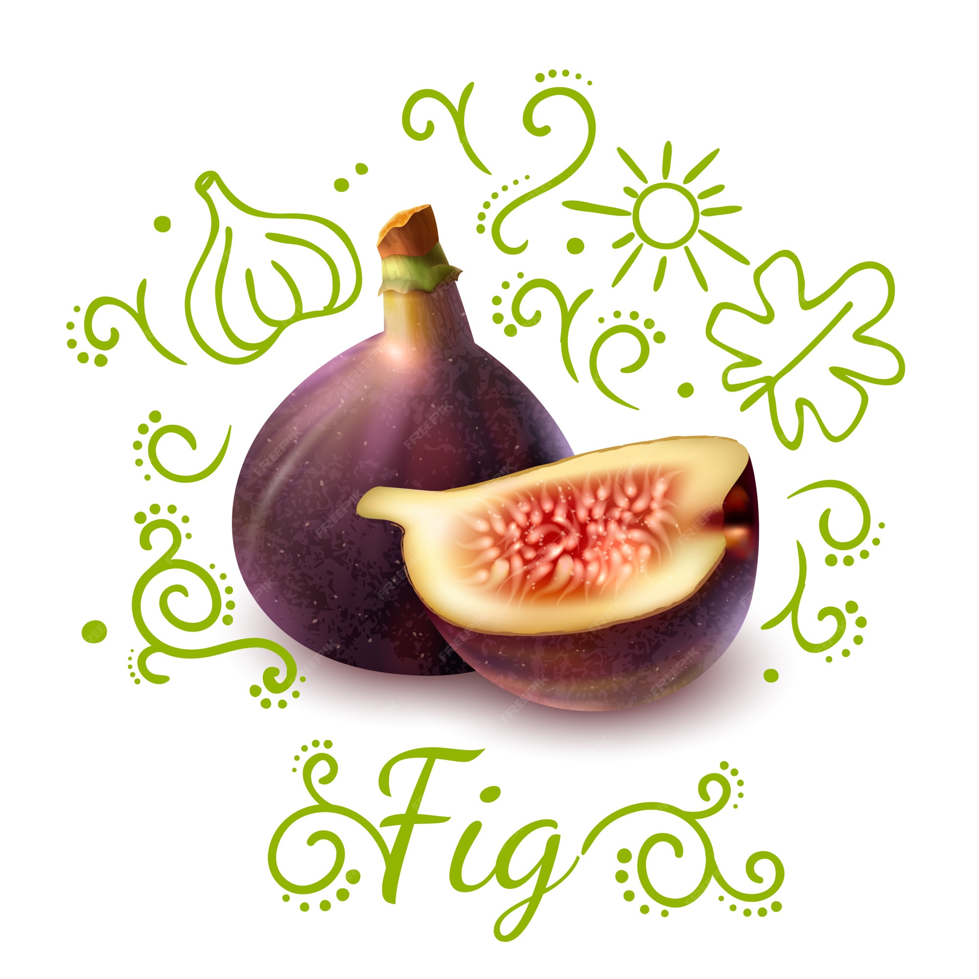 fig fruits images clipart