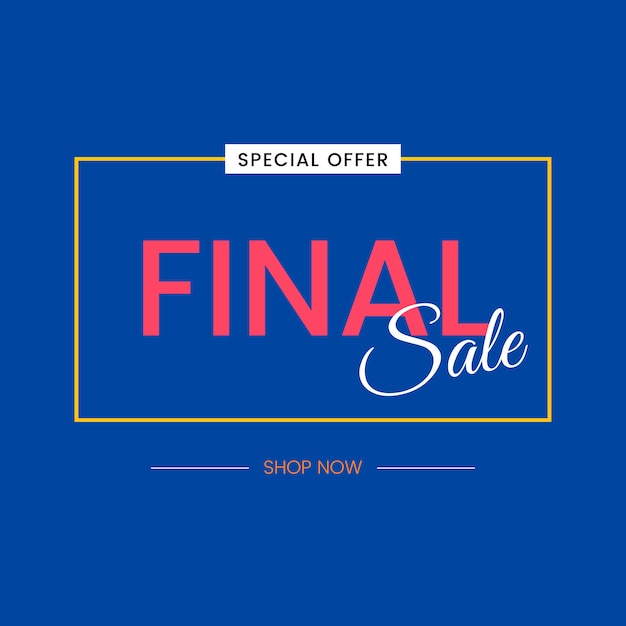 Final sale special offer sign vector