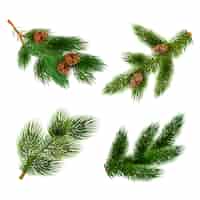 Free vector fir and pine trees branches icons set