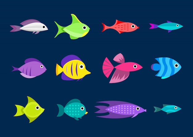 Free vector fish collection. cartoon style. illustration of twelve different fish