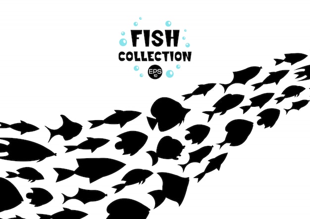 Fish collection. Cartoon style. Illustration of twelve different fish