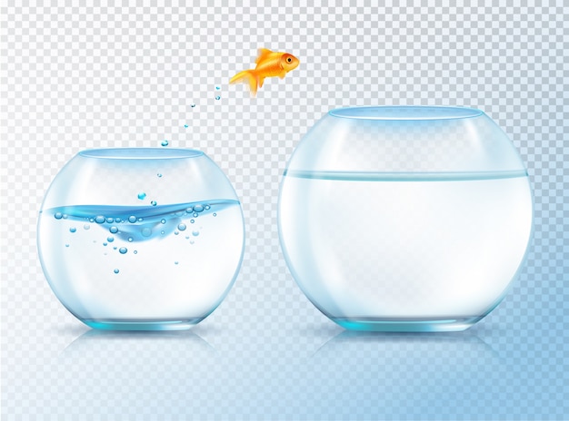 Free vector fish jumping out bowl