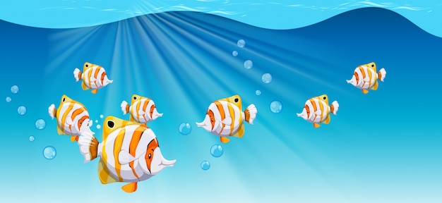 Free vector fish swimming under the ocean