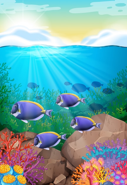 Free vector fish swimming under the ocean