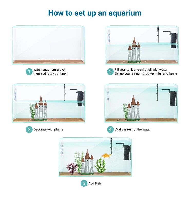 मुफ़्त वेक्टर fish tank aquarium setup realistic infographic guide steps cleaning adding gravel water air pump filter fish illustration
