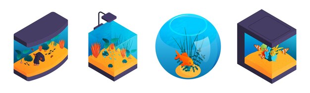 fish tank decoration illustration