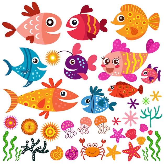 Free vector fishes and shell collection