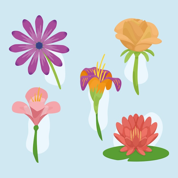 Free vector five beautiful flowers garden