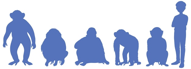 Vettore gratuito cinque diversi tipi di grandi scimmie