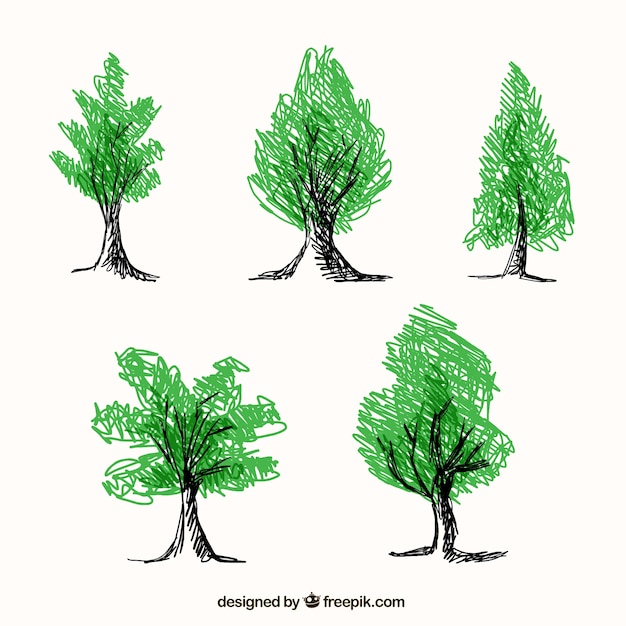 Free vector five hand drawn trees