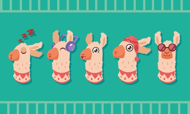 Five llamas animals heads