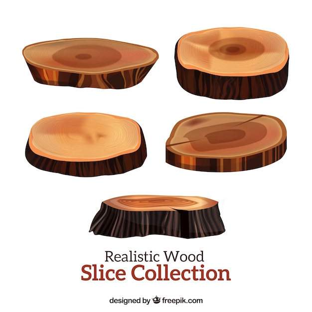 Five realistic slices wooden