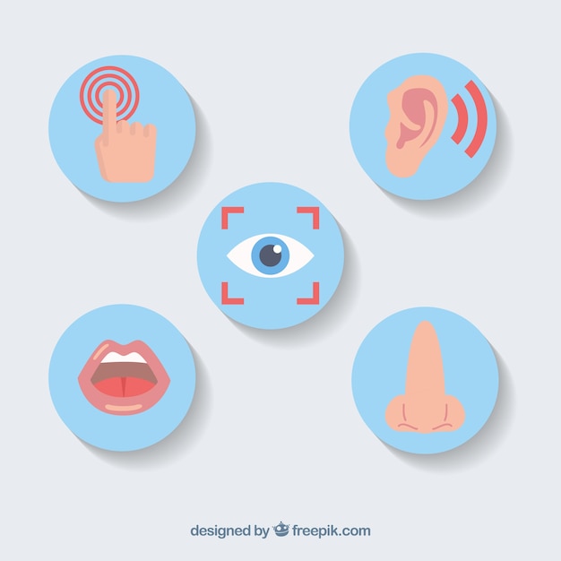 Download Free Five Senses Icon Set Free Vector Use our free logo maker to create a logo and build your brand. Put your logo on business cards, promotional products, or your website for brand visibility.