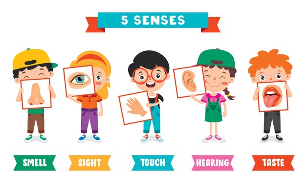 Premium Vector Five Senses Template With Kids Holding Human Organs