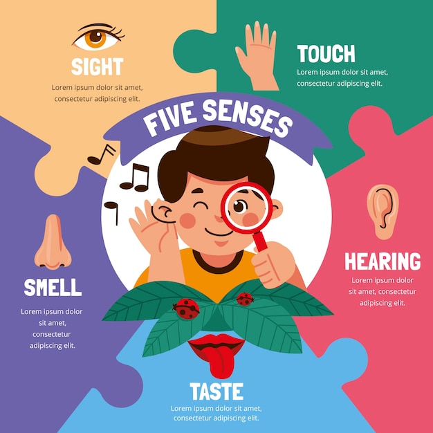 Fiver senses infographic template