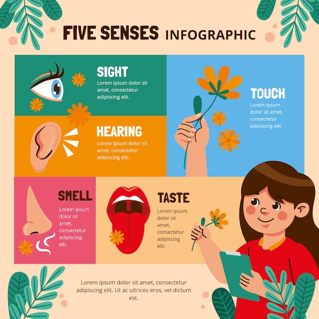 Modello di infografica fiver senses