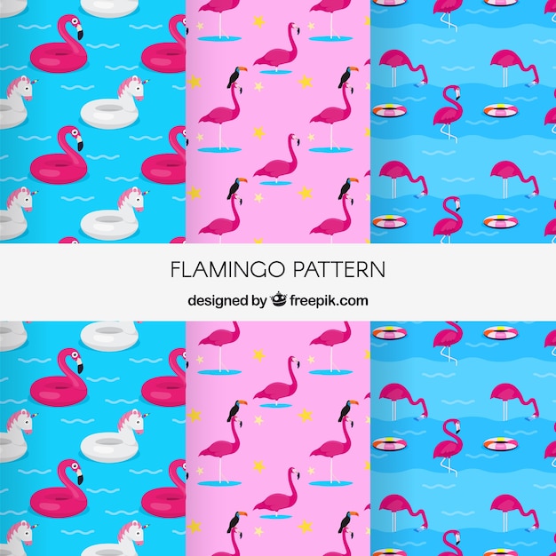 Flamenco summer pattern